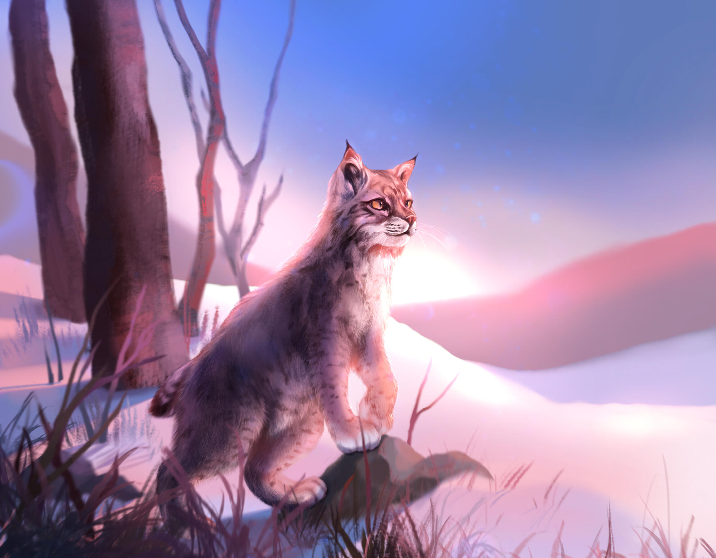 bobcat study 2023 digital